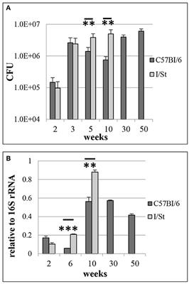 MTS1338, A Small Mycobacterium tuberculosis RNA, Regulates Transcriptional Shifts Consistent With Bacterial Adaptation for Entering Into Dormancy and Survival Within Host Macrophages